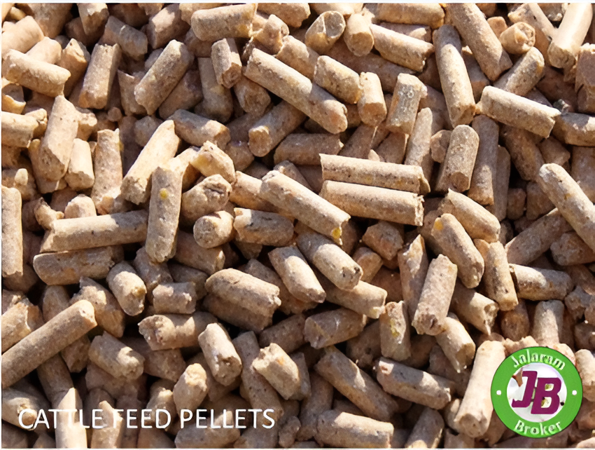 CATTLE FEED PELLETE