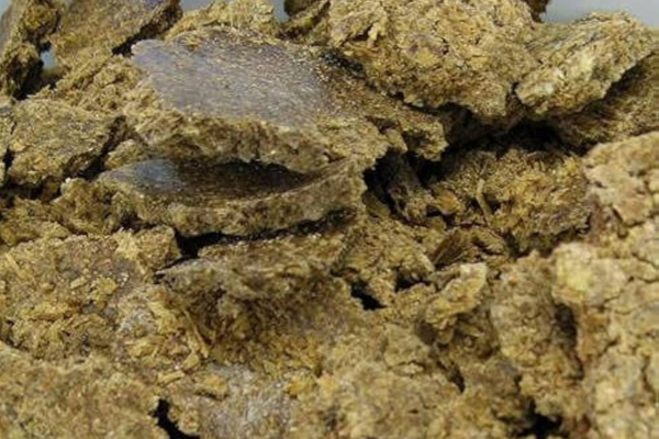 COTTON SEED OIL CAKE